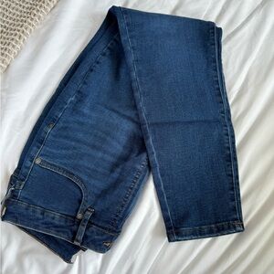 Everlane Curvy High Rise Skinny Jeans